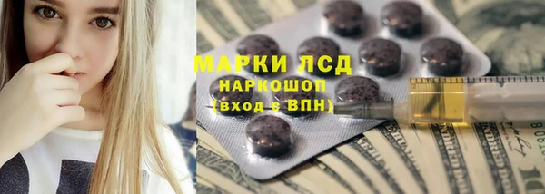 ГАЛЛЮЦИНОГЕННЫЕ ГРИБЫ Сатка