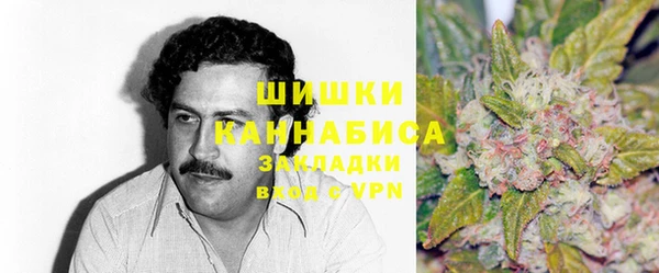 молекула духа Саяногорск