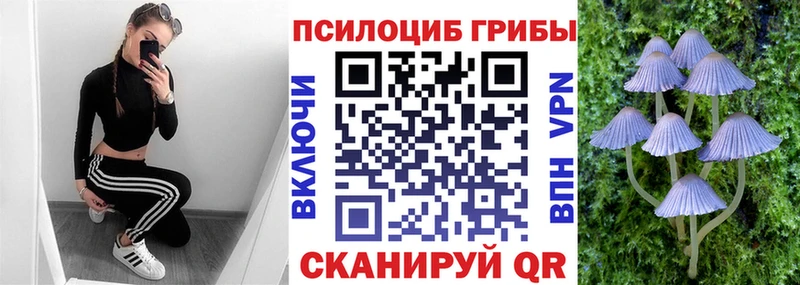 Галлюциногенные грибы Magic Shrooms  Нерчинск 